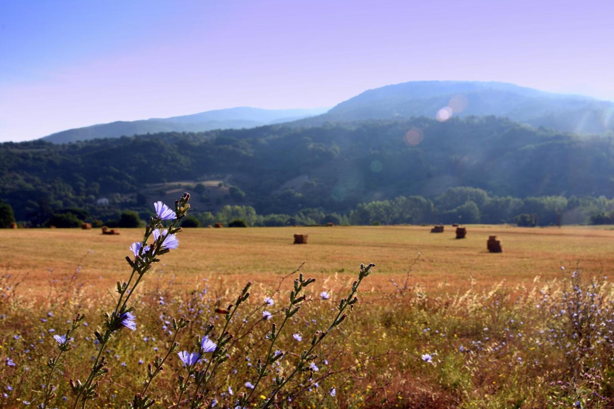 Baciano Azienda Agrituristico Venatoria Capolona Esterno foto